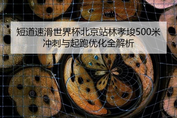 duan-dao-su-hua-shi-jie-bei-bei-jing-zhan-lin-xiao-jun-mi-chong-ci-yu-qi-pao-you-hua-quan-jie-xi-3-496.jpg