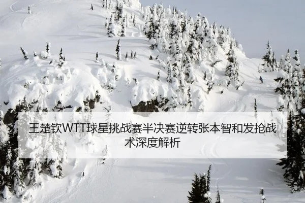 wang-chu-qin-qiu-xing-tiao-zhan-sai-ban-jue-sai-ni-zhuan-zhang-ben-zhi-he-fa-qiang-zhan-shu-shen-du-jie-xi-3-566.jpg