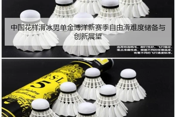 zhong-guo-hua-yang-hua-bing-nan-dan-jin-bo-yang-xin-sai-ji-zi-you-hua-nan-du-chu-bei-yu-chuang-xin-zhan-wang-3-110.jpg
