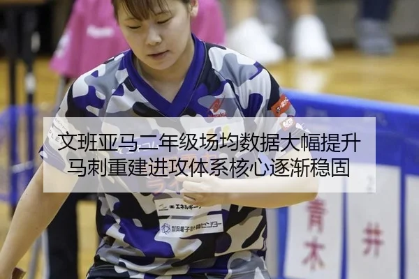 wen-ban-ya-ma-er-nian-ji-chang-jun-shu-ju-da-fu-ti-sheng-ma-ci-chong-jian-jin-gong-ti-xi-he-xin-zhu-jian-wen-gu-3-279.jpg