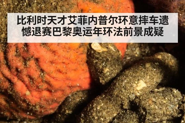 比利时天才艾菲内普尔环意摔车遗憾退赛巴黎奥运年环法前景成疑