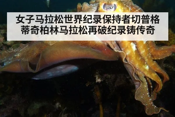 女子马拉松世界纪录保持者切普格蒂奇柏林马拉松再破纪录铸传奇